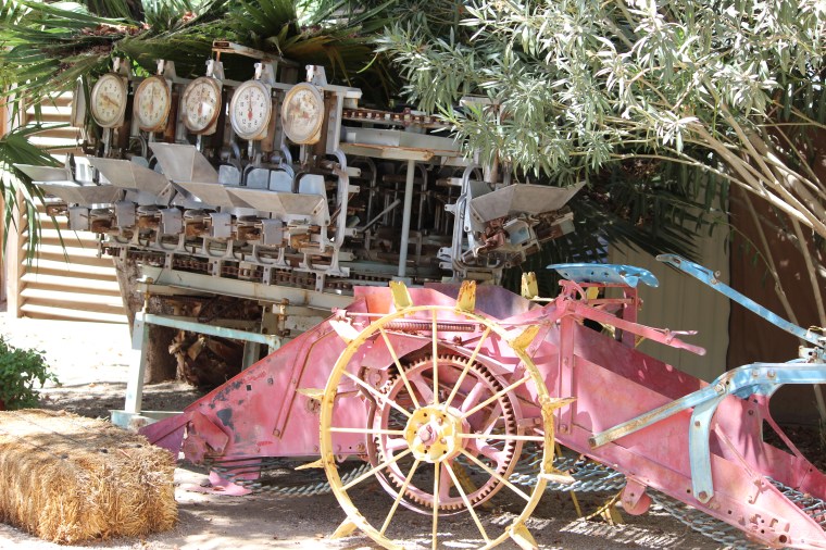 Schnepf Farms, Cute, Cozy, Vintage, Fashion Shoot, 